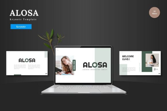 Alosa Keynote Template: A Flexible Tool for Modern Presentations