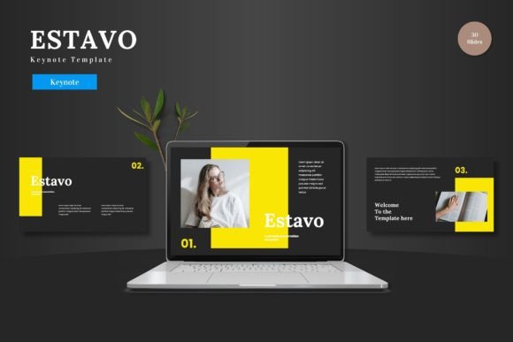 Elevate Your Presentation Game with the Estavo Keynote Template
