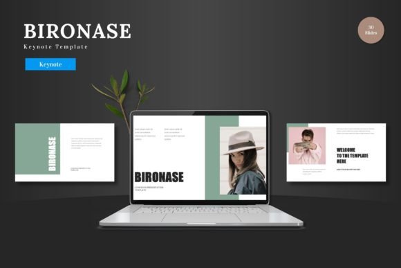 Elevate Your Presentation: The Power of the Bironase Keynote Template
