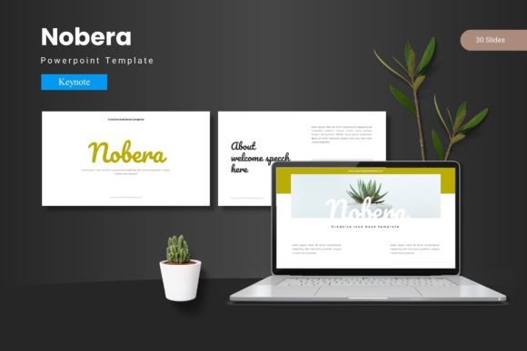 Nobera: Your Key to Professional Keynote Presentations