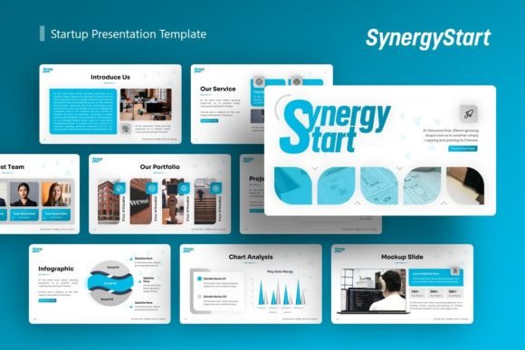 Understanding Startup Presentation - SynergyStart: A Decision Guide